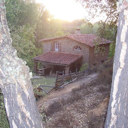 Pensjonat Casas El Alamillo- El Castanero Galaroza Zewnętrze zdjęcie